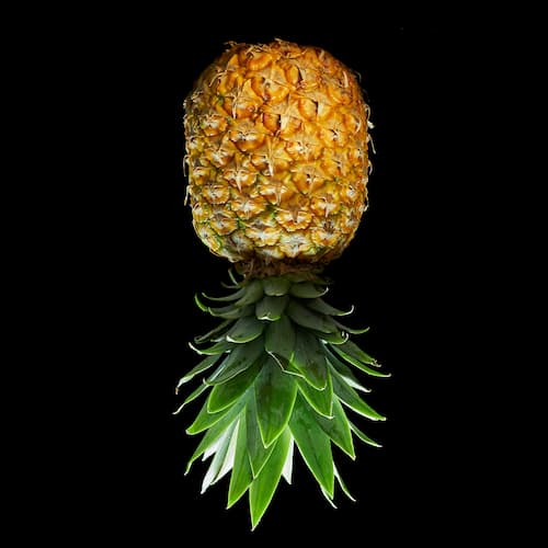 Pineapple